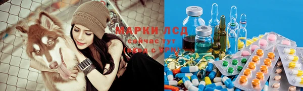 apvp Ладушкин