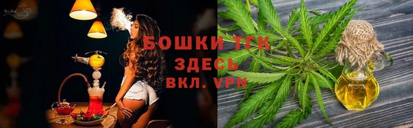 дживик Лагань