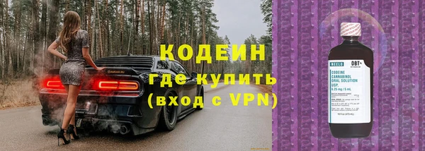 индика Лиски