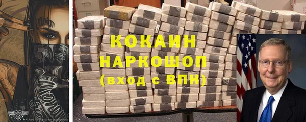 индика Усинск