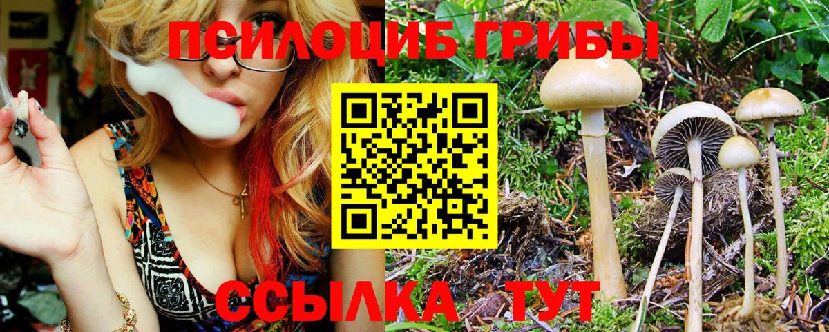 Псилоцибиновые грибы Cubensis  Вход с VPN  Псилоцибиновые грибы прущие грибы  Лыткарино 
